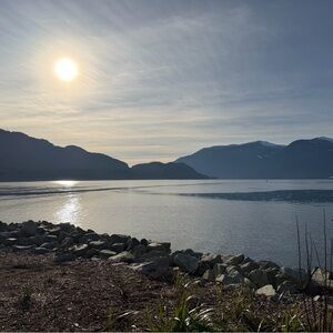 Meet your Posher, moonlight